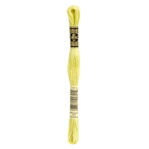 One skein of DMC Mouliné Stranded Cotton thread Colour code 11