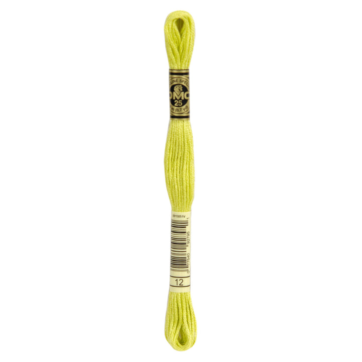 One skein of DMC Mouliné Stranded Cotton thread Colour code 12
