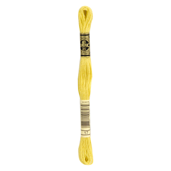 One skein of DMC Mouliné Stranded Cotton thread Colour code 17