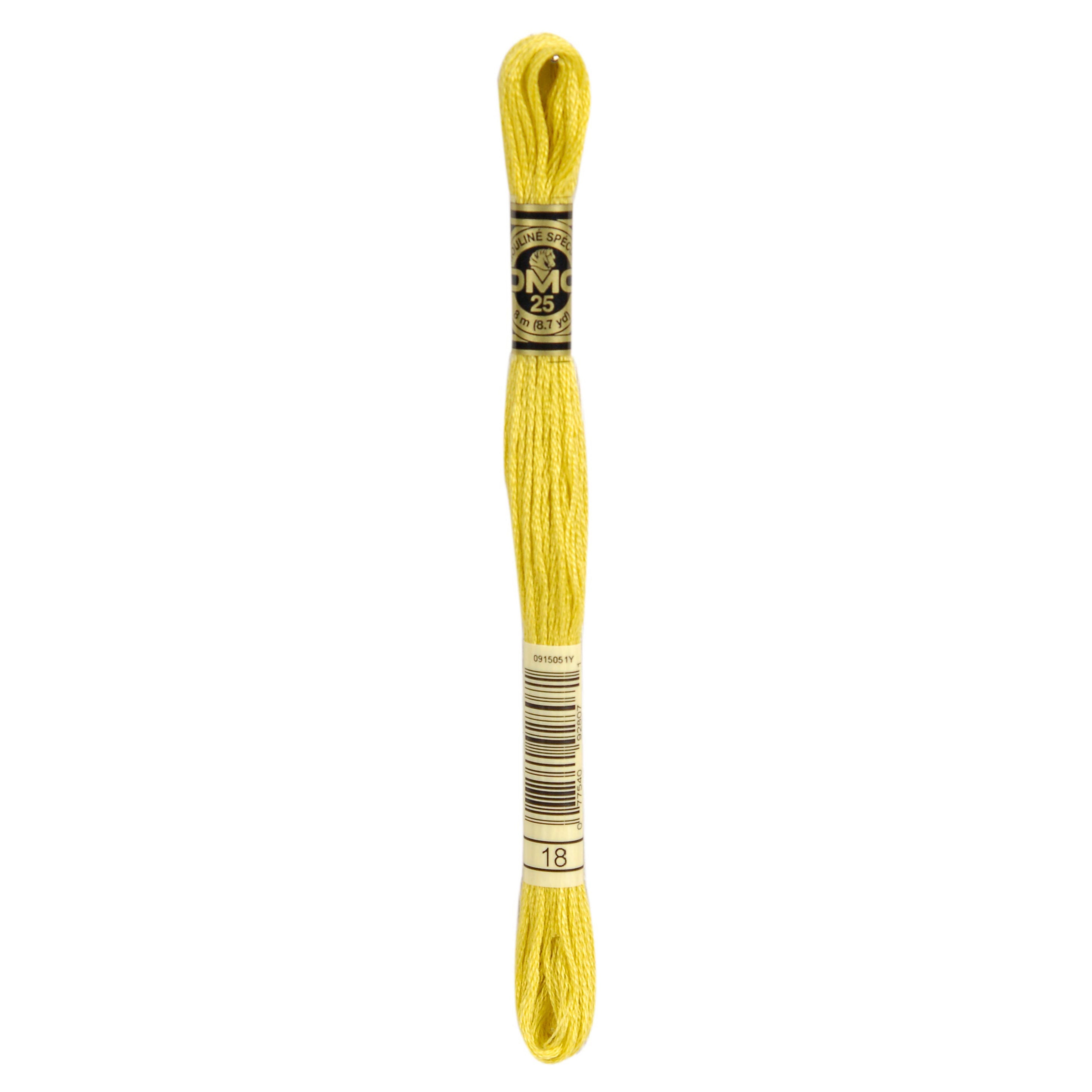 One skein of DMC Mouliné Stranded Cotton thread Colour code 18