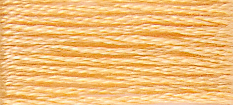 A colour swatch of DMC Mouliné Stranded Cotton thread Colour code 19