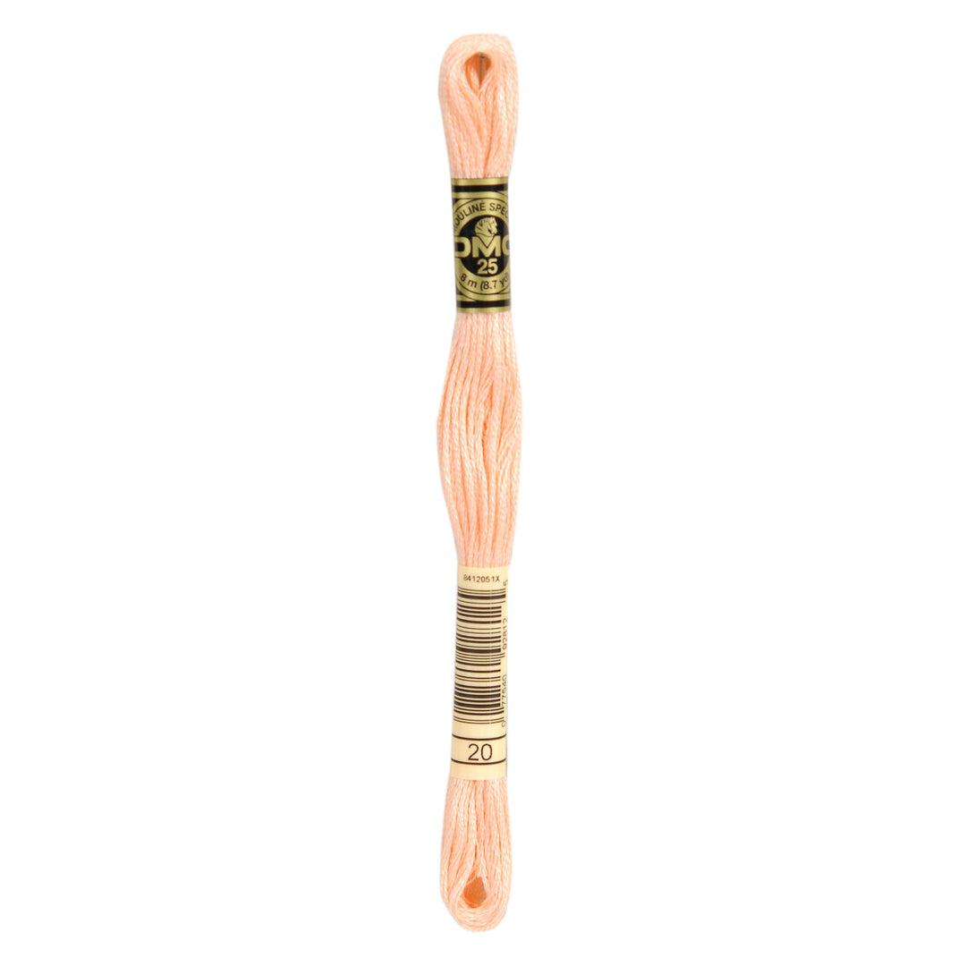 One skein of DMC Mouliné Stranded Cotton thread Colour code 20