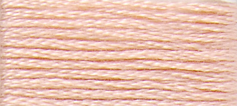 A colour swatch of DMC Mouliné Stranded Cotton thread Colour code 20