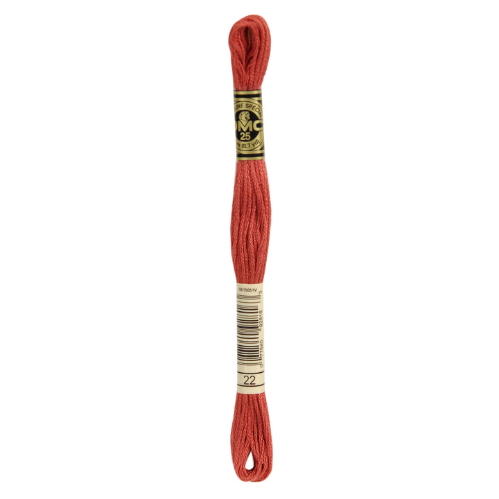 One skein of DMC Mouliné Stranded Cotton thread Colour code 22