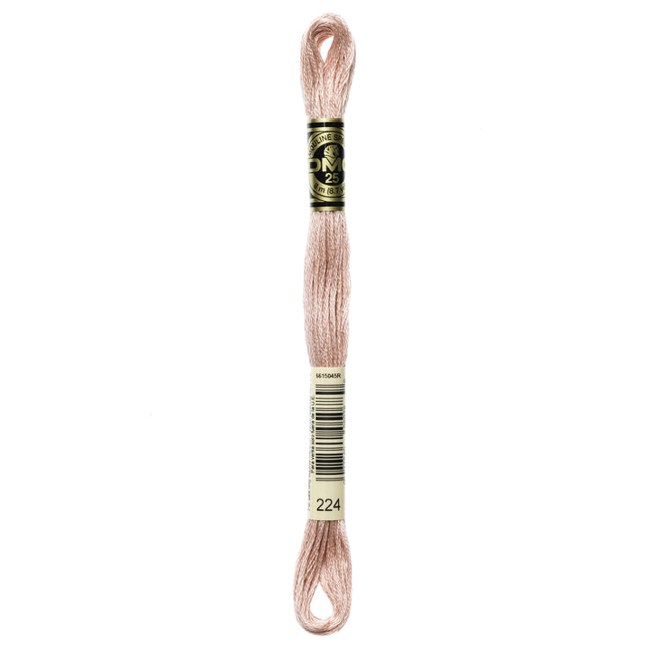 One skein of DMC Mouliné Stranded Cotton thread Colour code 224