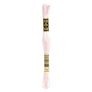 One skein of DMC Mouliné Stranded Cotton thread Colour code 23