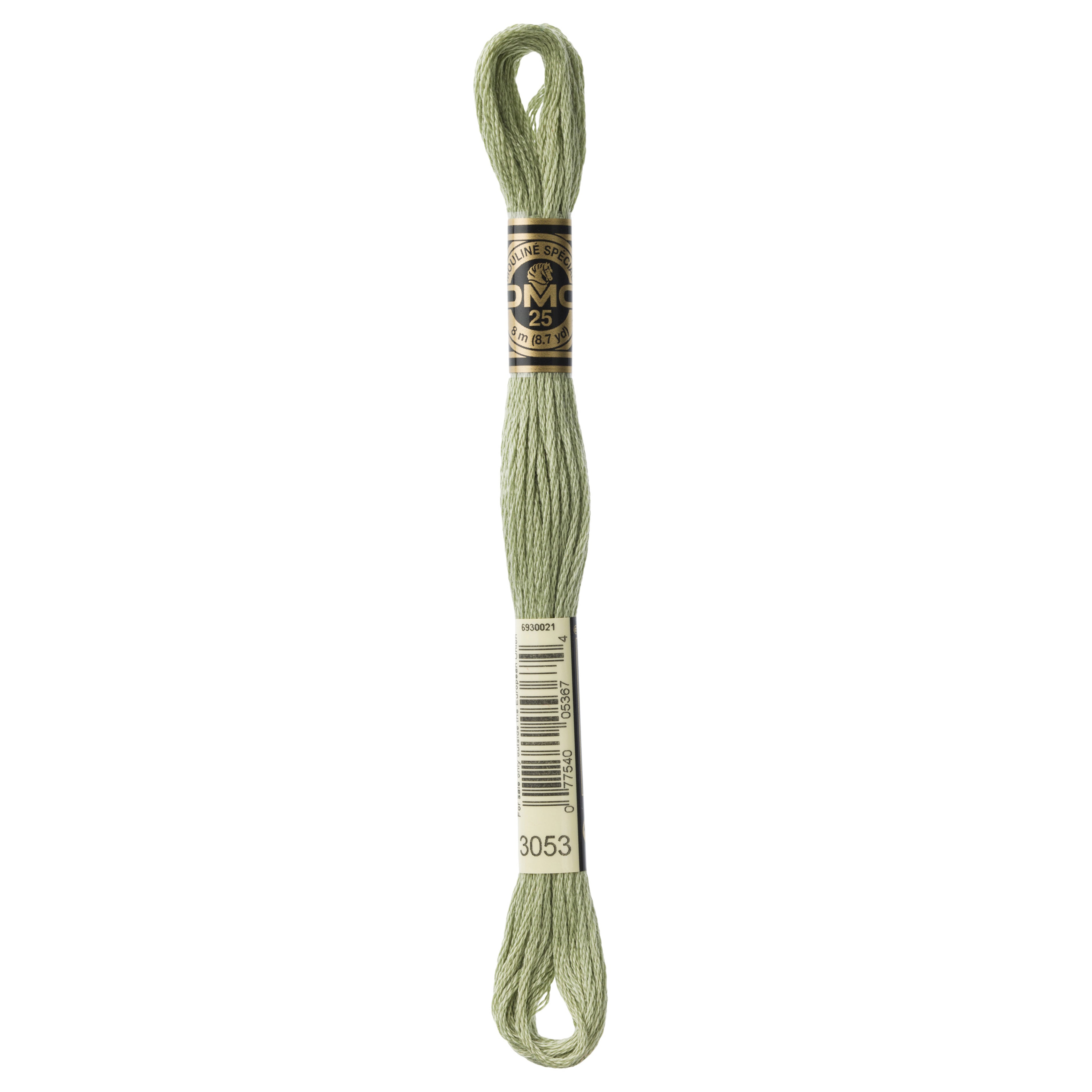 One skein of DMC Mouliné Stranded Cotton thread Colour code 3053
