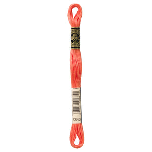 One skein of DMC Mouliné Stranded Cotton thread Colour code 3340