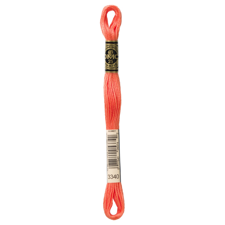 One skein of DMC Mouliné Stranded Cotton thread Colour code 3340