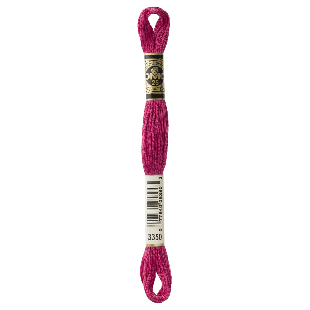 One skein of DMC Mouliné Stranded Cotton thread Colour code 3350