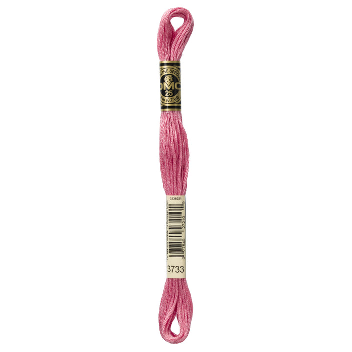 One skein of DMC Mouliné Stranded Cotton thread Colour code 3733