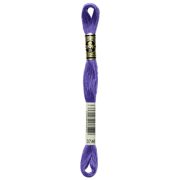 One skein of DMC Mouliné Stranded Cotton thread Colour code 3746