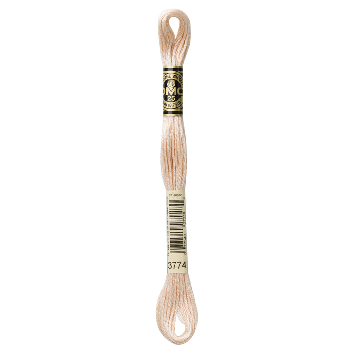 One skein of DMC Mouliné Stranded Cotton thread Colour code 3774