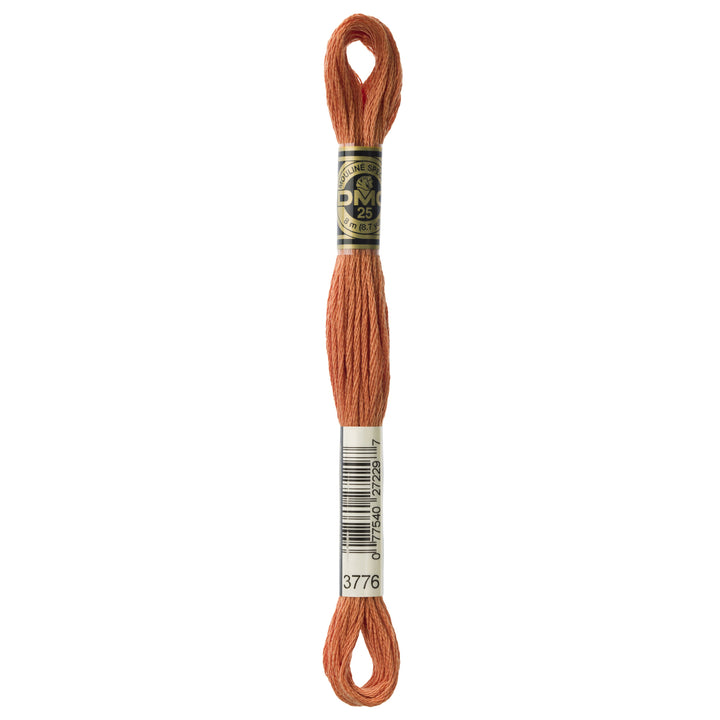 One skein of DMC Mouliné Stranded Cotton thread Colour code 3776