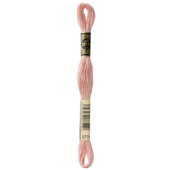One skein of DMC Mouliné Stranded Cotton thread Colour code 3779