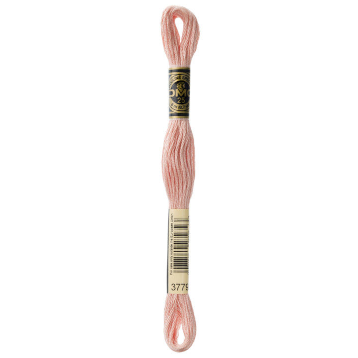 One skein of DMC Mouliné Stranded Cotton thread Colour code 3779