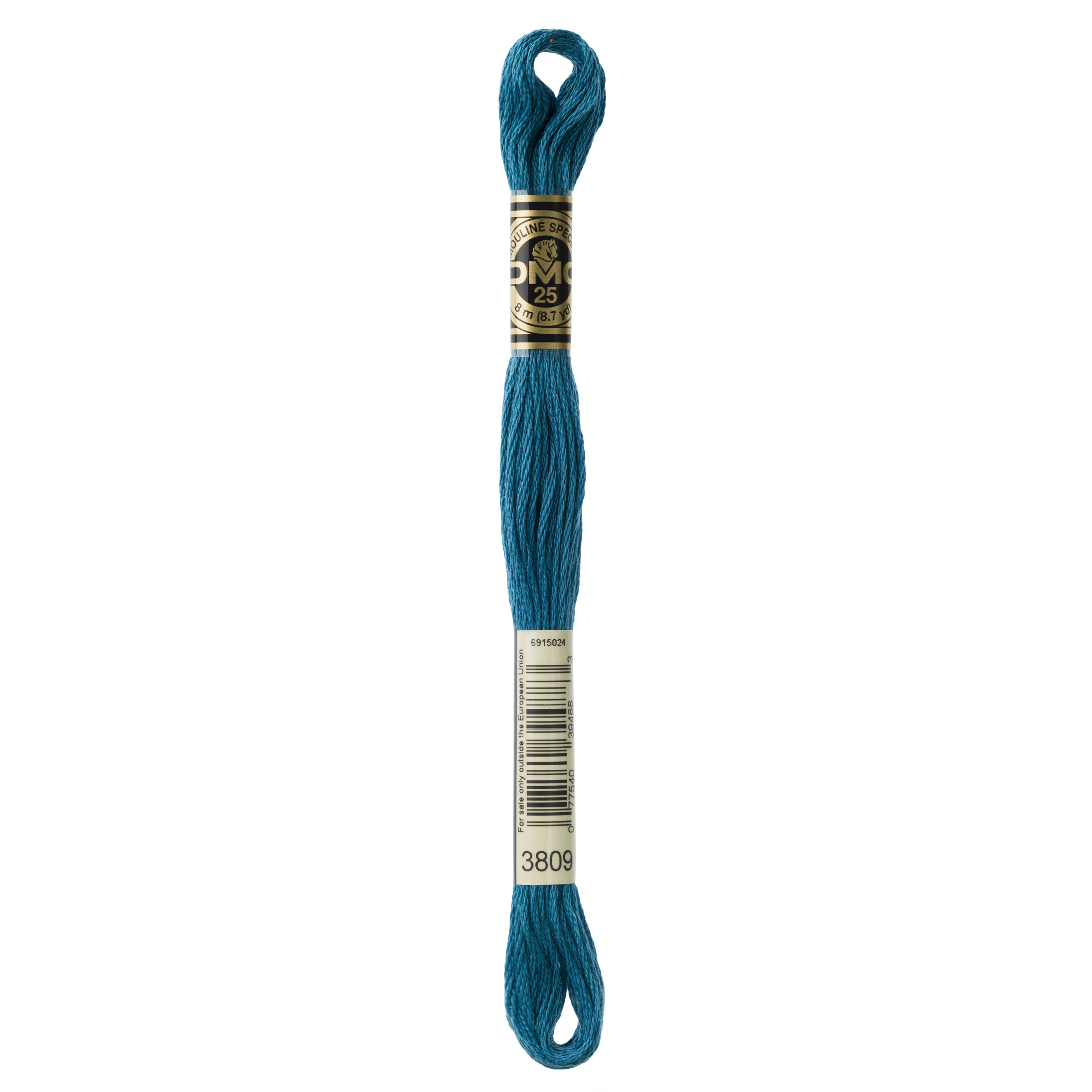 One skein of DMC Mouliné Stranded Cotton thread Colour code 3809