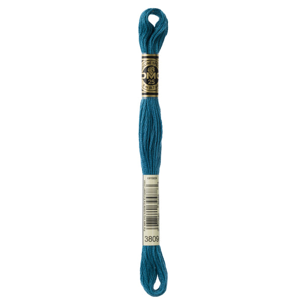 One skein of DMC Mouliné Stranded Cotton thread Colour code 3809