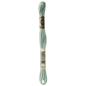 One skein of DMC Mouliné Stranded Cotton thread Colour code 3813