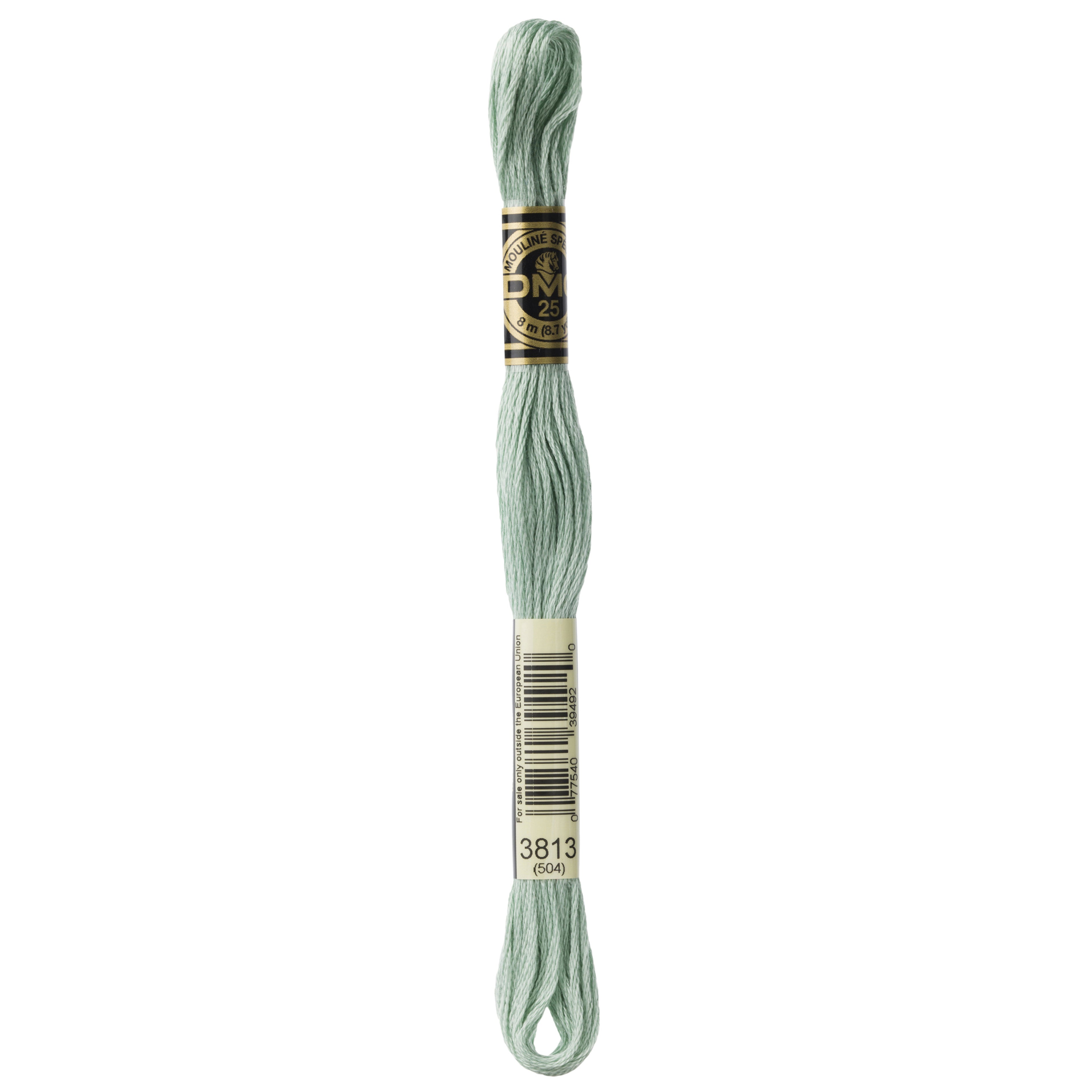 One skein of DMC Mouliné Stranded Cotton thread Colour code 3813