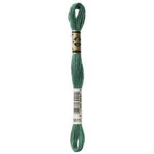 One skein of DMC Mouliné Stranded Cotton thread Colour code 3815