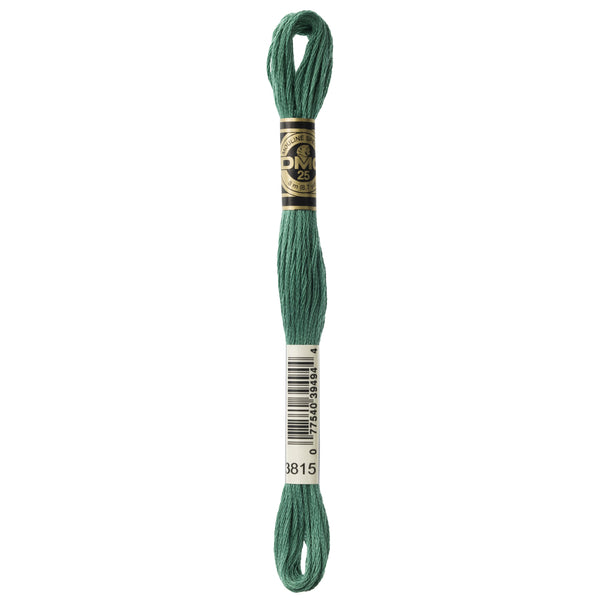 One skein of DMC Mouliné Stranded Cotton thread Colour code 3815