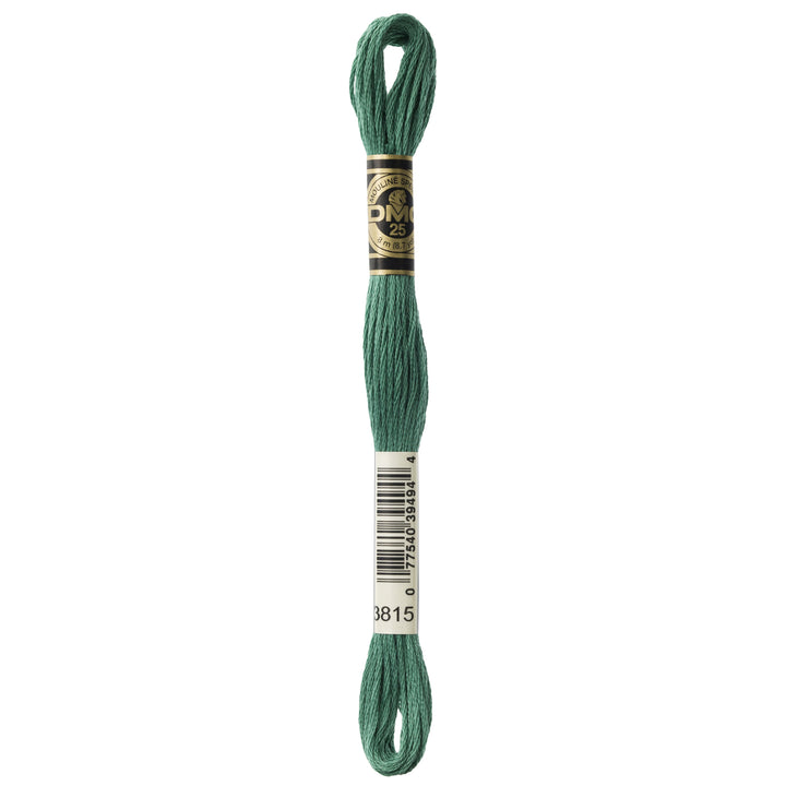 One skein of DMC Mouliné Stranded Cotton thread Colour code 3815