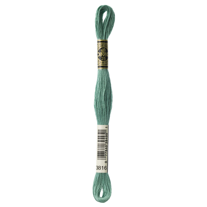 One skein of DMC Mouliné Stranded Cotton thread Colour code 3816