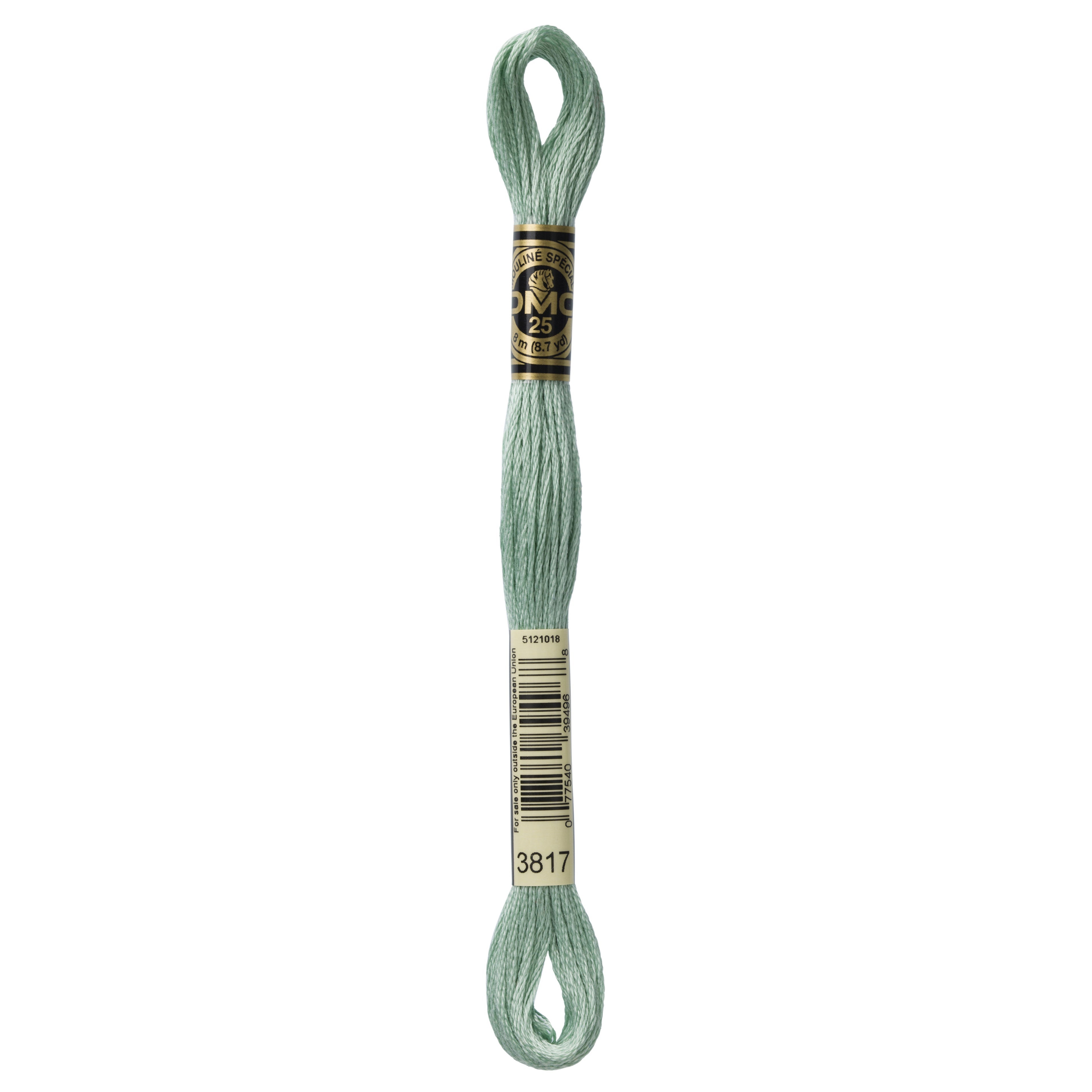 One skein of DMC Mouliné Stranded Cotton thread Colour code 3817