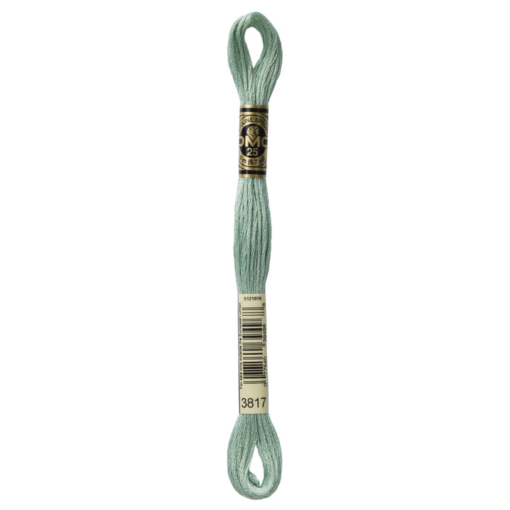 One skein of DMC Mouliné Stranded Cotton thread Colour code 3817