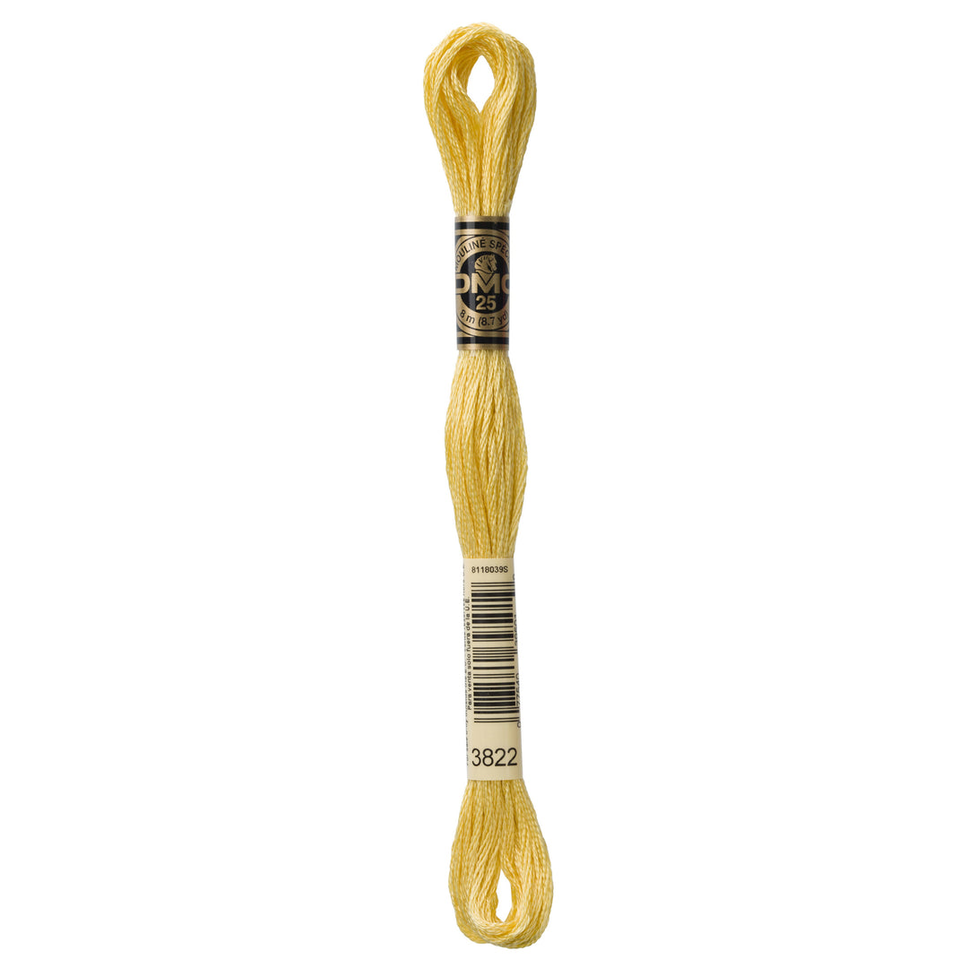 One skein of DMC Mouliné Stranded Cotton thread Colour code 3822