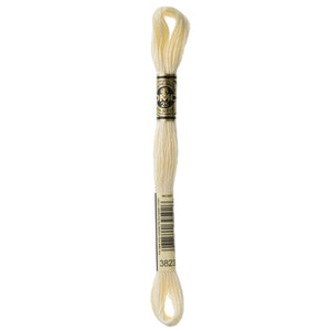 One skein of DMC Mouliné Stranded Cotton thread Colour code 3823