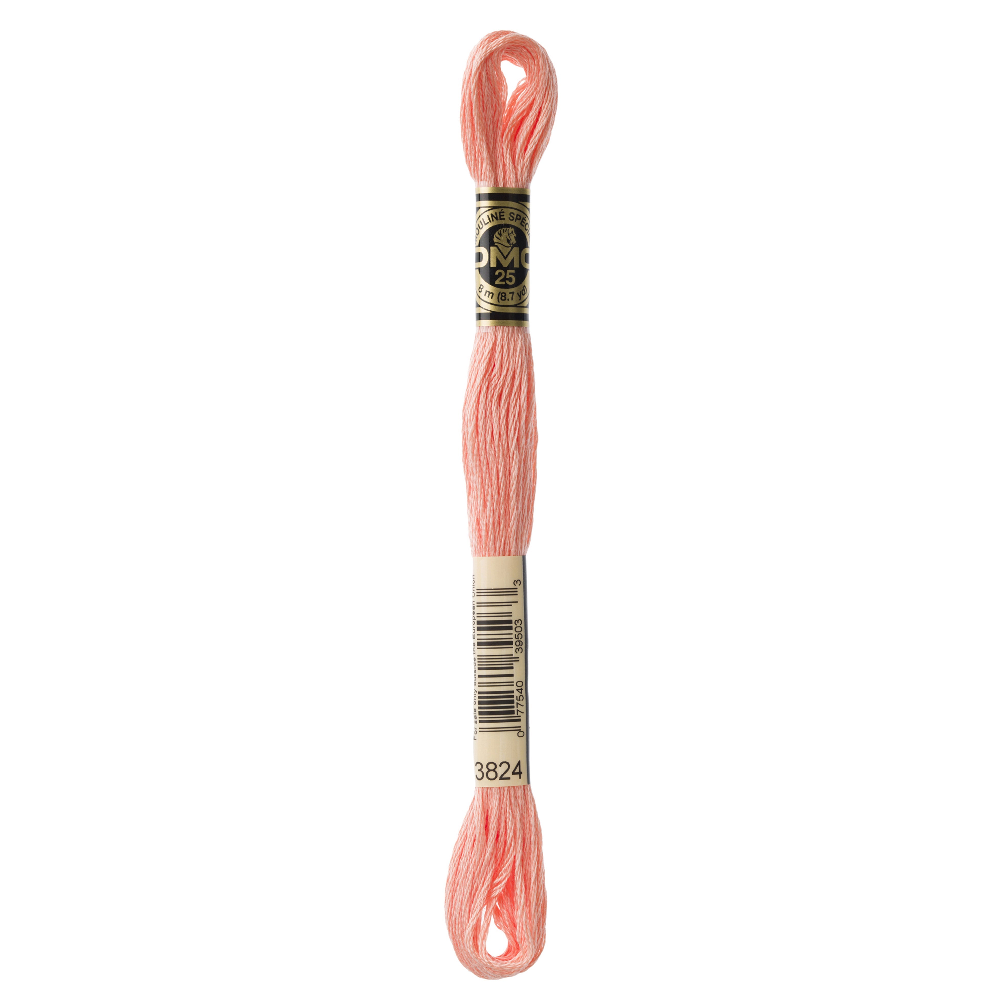 One skein of DMC Mouliné Stranded Cotton thread Colour code 3824
