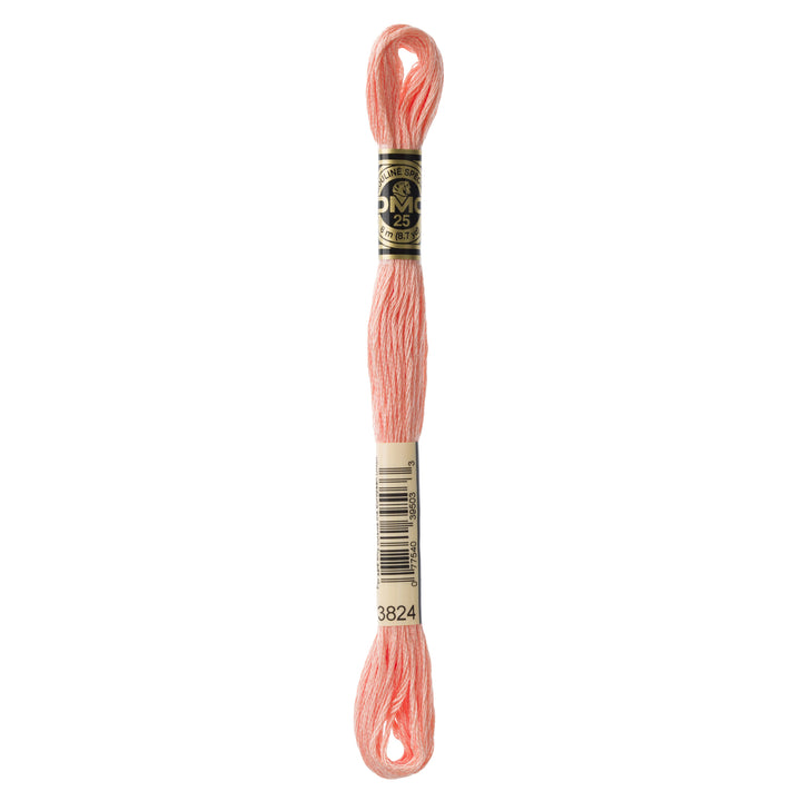 One skein of DMC Mouliné Stranded Cotton thread Colour code 3824