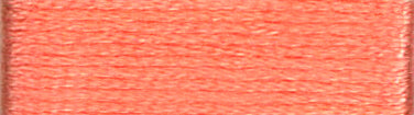 A colour swatch of DMC Mouliné Stranded Cotton thread Colour code 3824