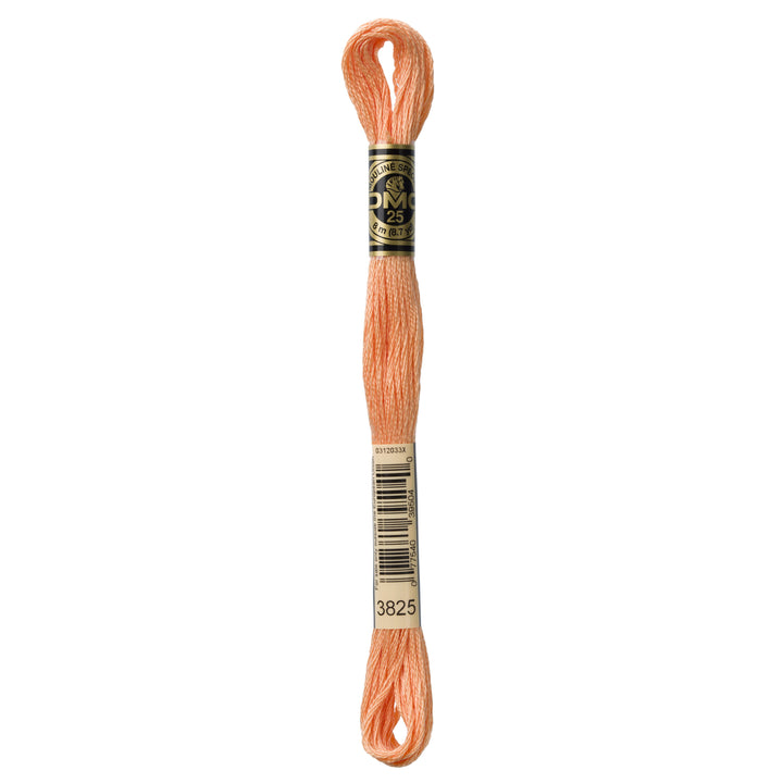 One skein of DMC Mouliné Stranded Cotton thread Colour code 3825
