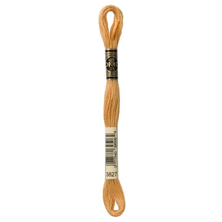 One skein of DMC Mouliné Stranded Cotton thread Colour code 3827