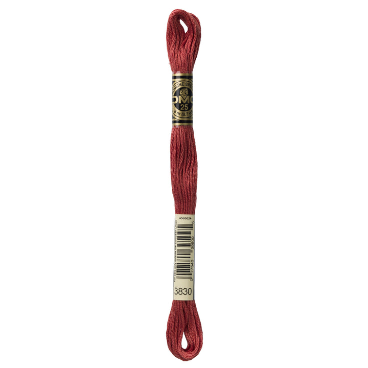 One skein of DMC Mouliné Stranded Cotton thread Colour code 3830
