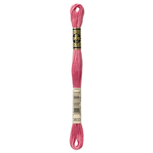 One skein of DMC Mouliné Stranded Cotton thread Colour code 3833