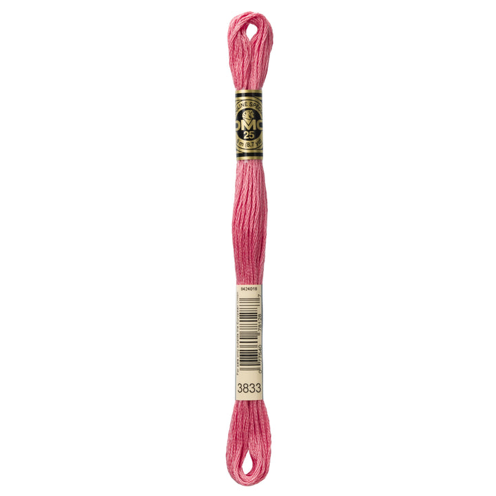 One skein of DMC Mouliné Stranded Cotton thread Colour code 3833