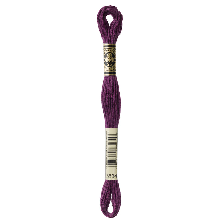 One skein of DMC Mouliné Stranded Cotton thread Colour code 3834