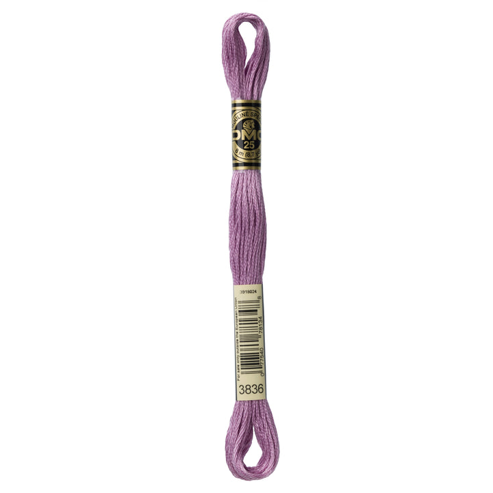 One skein of DMC Mouliné Stranded Cotton thread Colour code 3836