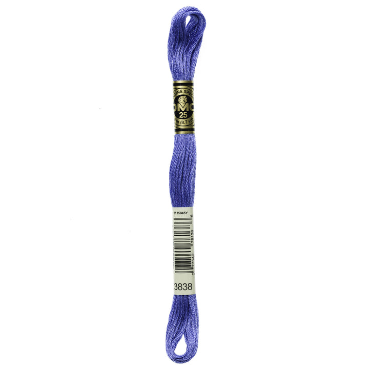 One skein of DMC Mouliné Stranded Cotton thread Colour code 3838