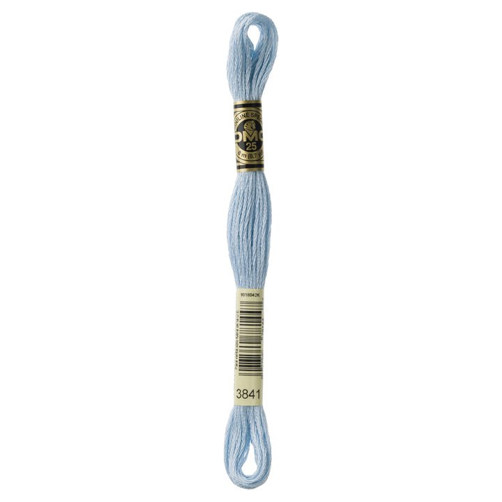 One skein of DMC Mouliné Stranded Cotton thread Colour code 3841