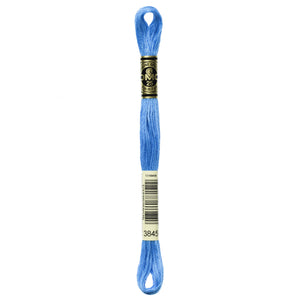 One skein of DMC Mouliné Stranded Cotton thread Colour code 3845