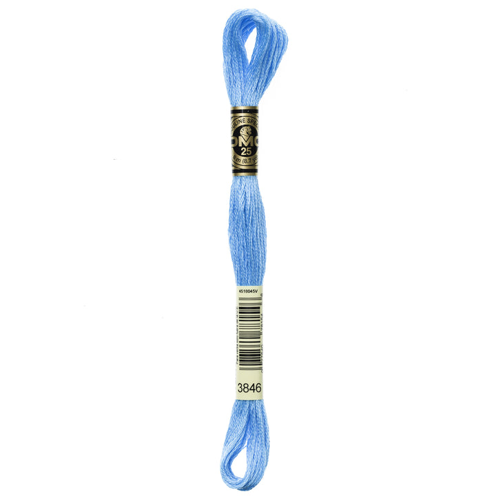 One skein of DMC Mouliné Stranded Cotton thread Colour code 3846