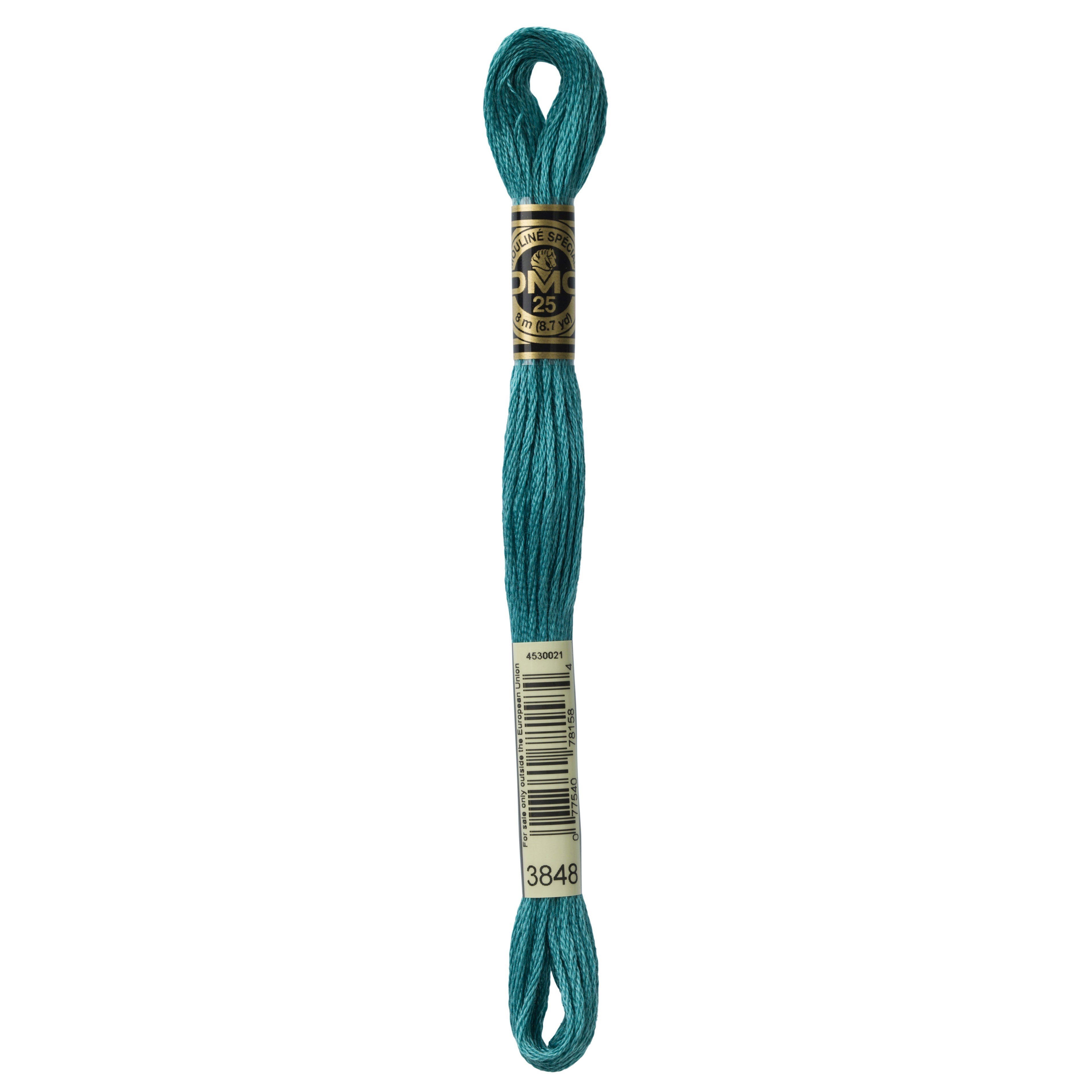 One skein of DMC Mouliné Stranded Cotton thread Colour code 3848
