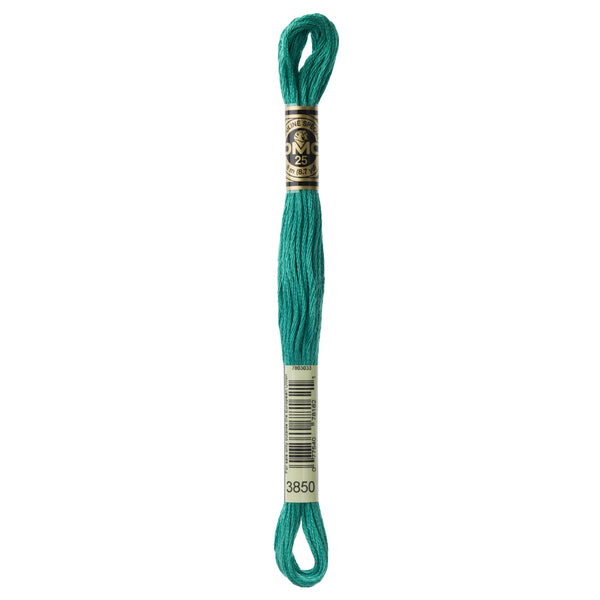 One skein of DMC Mouliné Stranded Cotton thread Colour code 3850