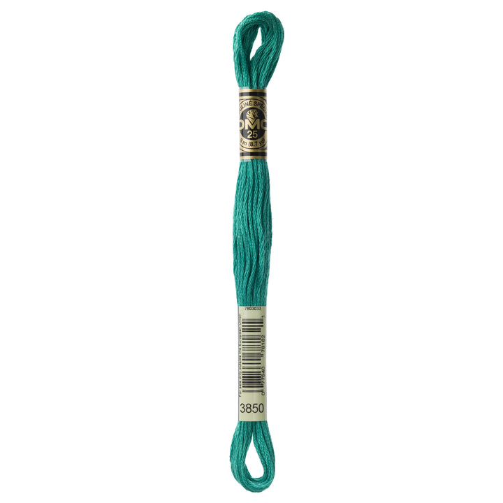 One skein of DMC Mouliné Stranded Cotton thread Colour code 3850