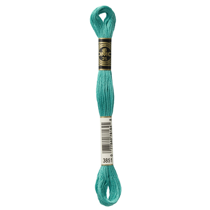 One skein of DMC Mouliné Stranded Cotton thread Colour code 3851